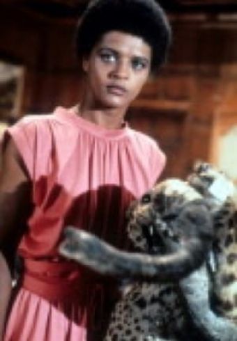 Angela Bruce