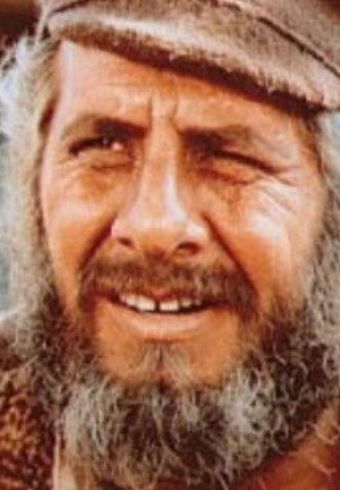 Chaim Topol