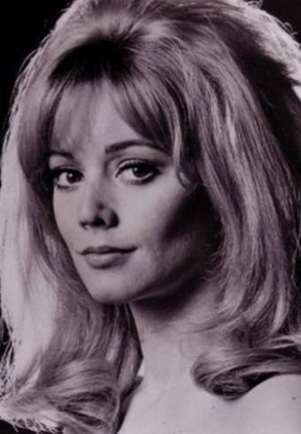Elaine Taylor