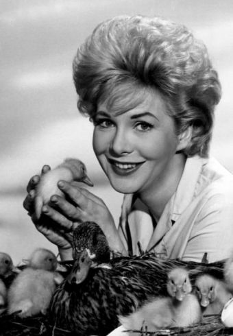 Jan Shepard