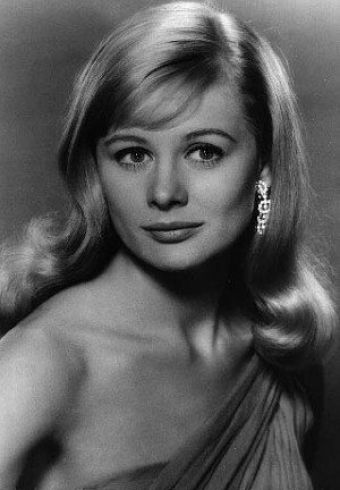 Shirley Knight