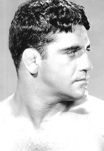 Sammy Stein