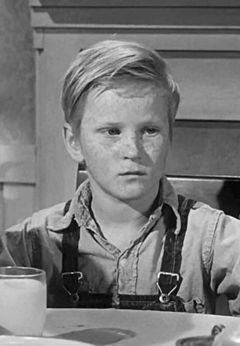 Steve Condit