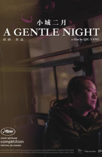 A Gentle Night