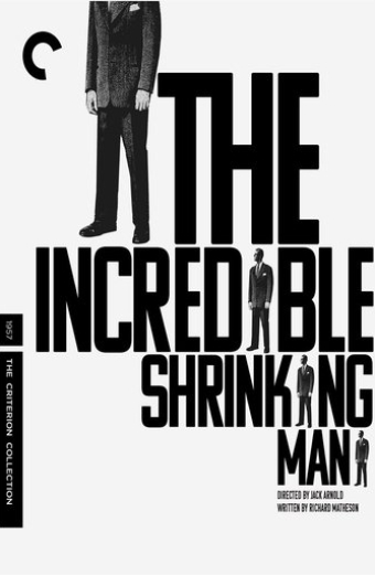 The Infinitesimal: Remembering the Shrinking Man