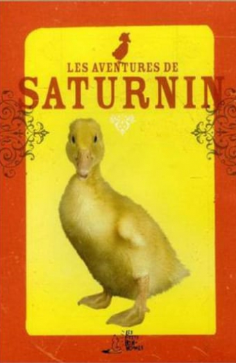 Les aventures de Saturnin
