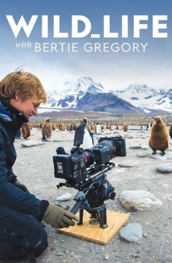Wild Life with Bertie Gregory
