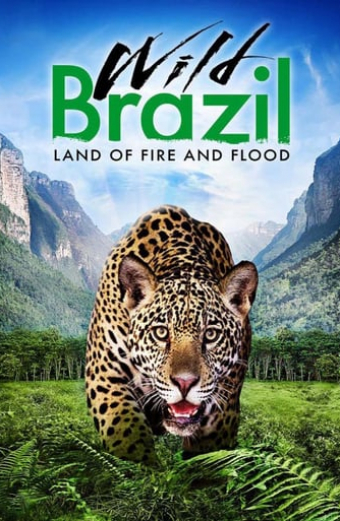 Divoká Brazílie