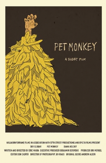 Pet Monkey