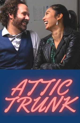 Attic Trunk