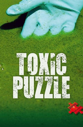 Toxic Puzzle