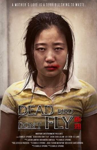 Dead Bird Don't Fly