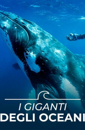Chasing Ocean Giants