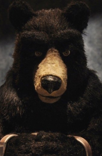 Canuck Black