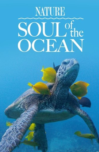Soul of the Ocean