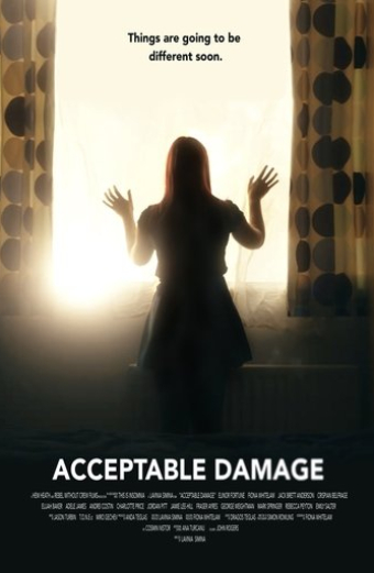 Acceptable Damage