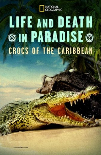 Life and Death in Paradise: Crocs of the Caribbean