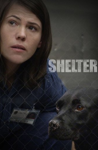 Shelter
