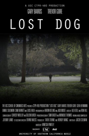Lost Dog