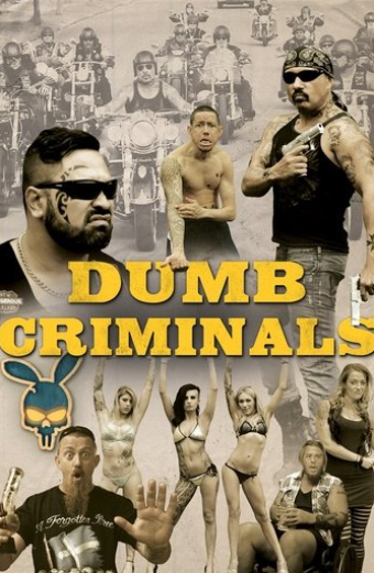 Dumb Criminals: The Movie