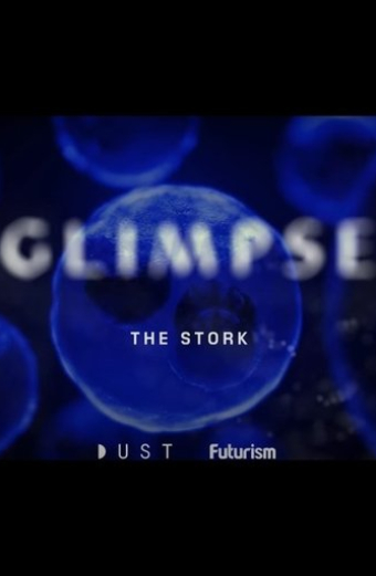 Glimpse Ep 2: The Stork