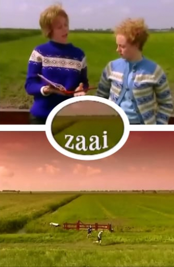 Zaai