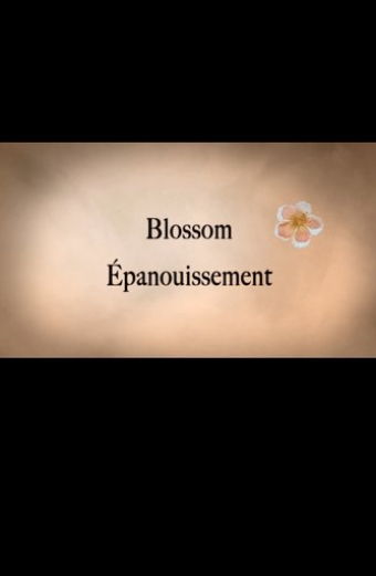 Blossom