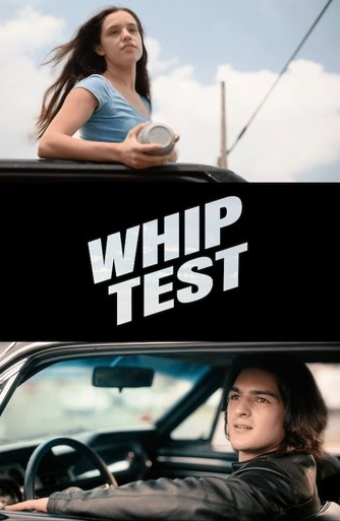 Whip Test