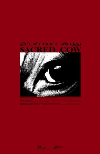 Sacred Cow திட்டமிடப்பட்ட விபத்து