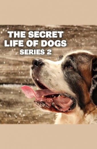 Secret Life of Dogs