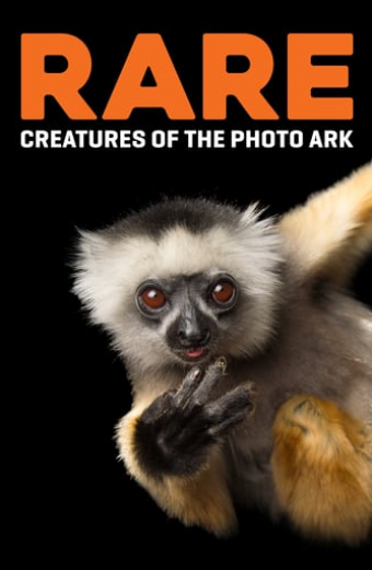 Fotoarcha