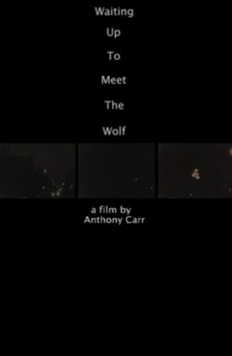 Waiting Up to Meet the Wolf