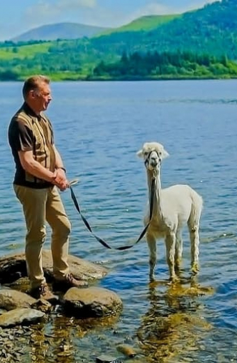 A Countryside Summer