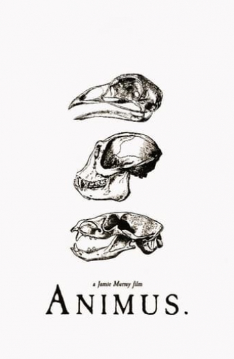 Animus