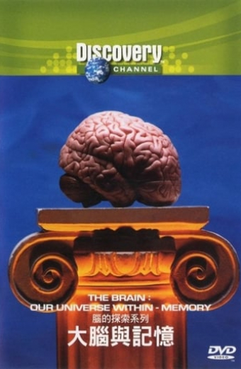The Brain: Our Universe Within