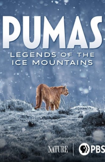 Pumas: Legends of the Ice Mountains