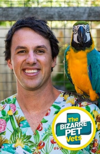 The Bizarre Pet Vets