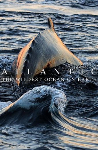 Atlantský oceán