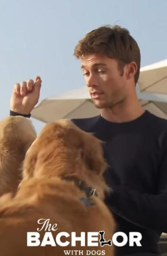 The Bachelor with Dogs and Scott Eastwood