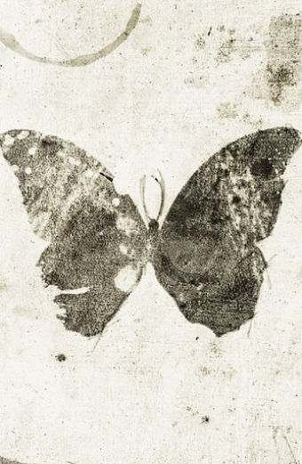 Ulysse