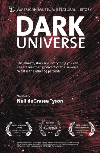 Dark Universe