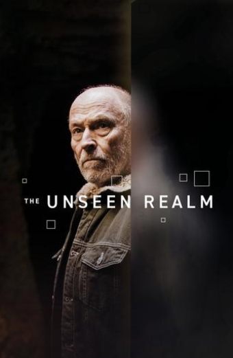 The Unseen Realm