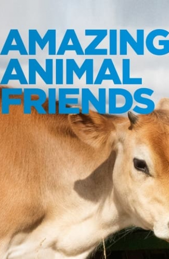 Amazing Animal Friends
