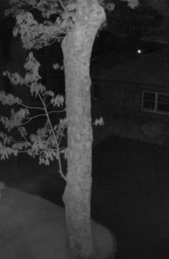 Nightvision