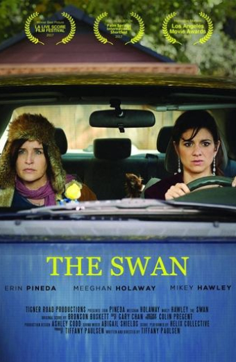 The Swan