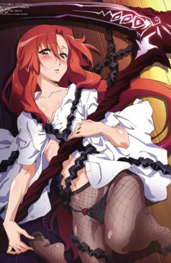Dakara boku wa, H ga dekinai.
