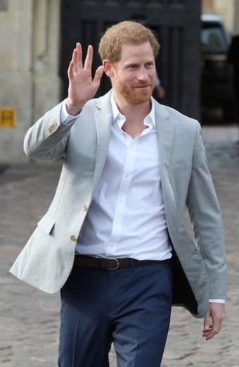 Harry: The Troubled Prince