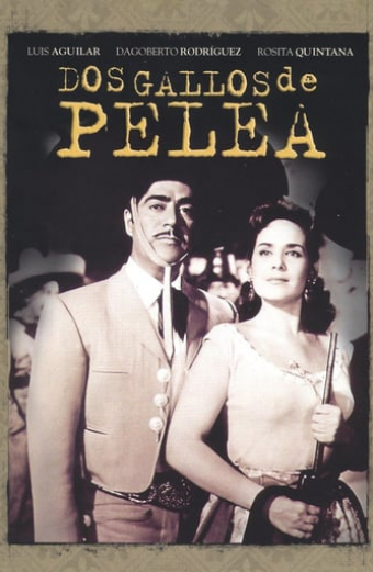 Dos gallos de pelea