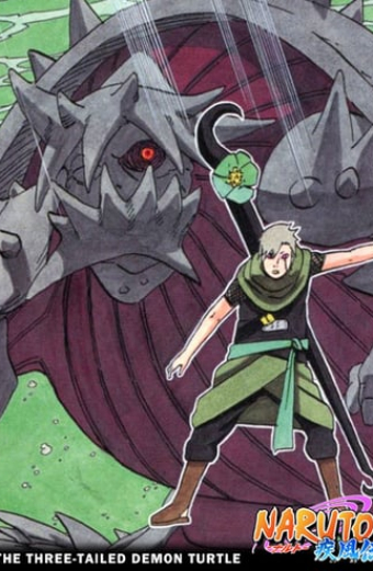 The Paras