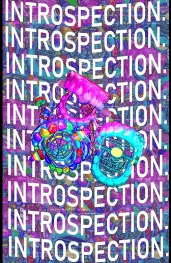 INTROSPECTION.